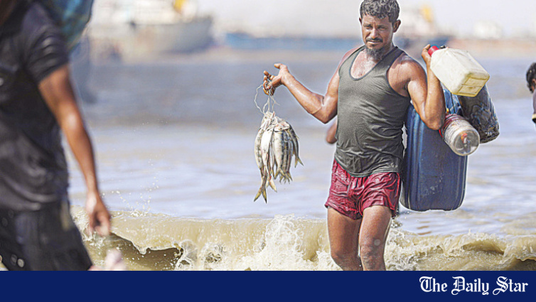 Can Bangladesh bring its hilsa back?