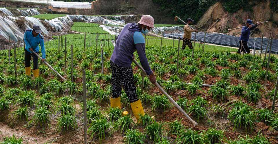 Reopening of Malaysia labor market sparks old fears in Bangladesh